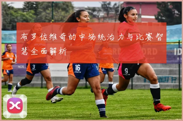 布罗佐维奇的中场统治力与比赛智慧全面解析