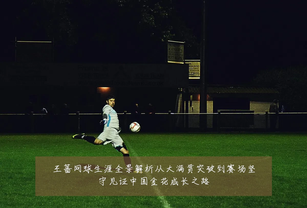 王蔷网球生涯全景解析从大满贯突破到赛场坚守见证中国金花成长之路