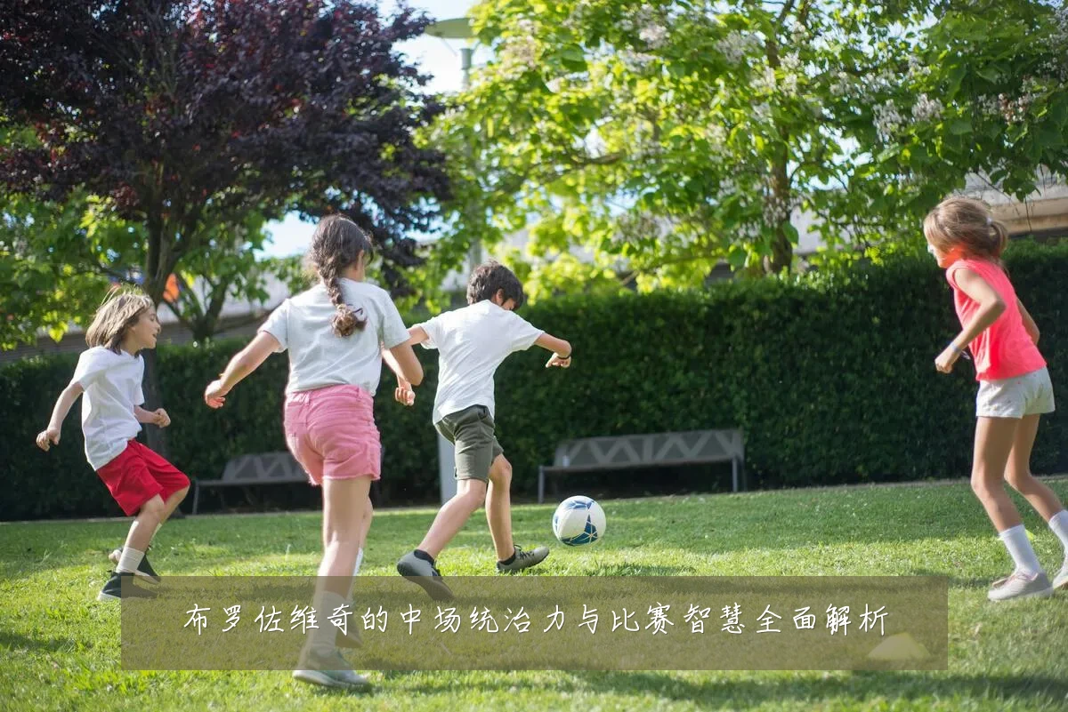 布罗佐维奇的中场统治力与比赛智慧全面解析